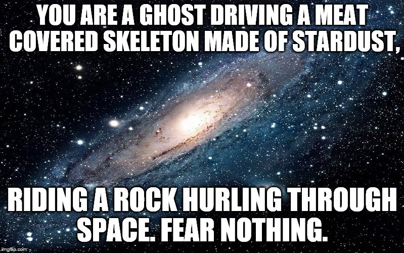 You are a ghost driving a meat covered skeleton made of stardust, riding a hurling rock through space. Fear nothing.